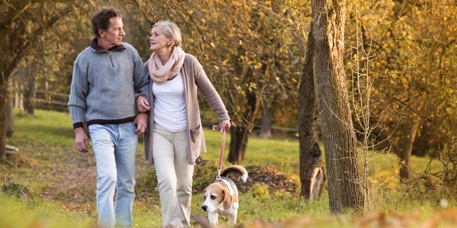 Type 2 Diabetes Management