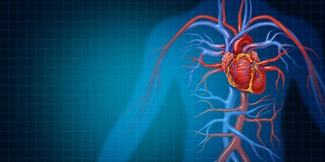What is the connection between diabetes and cardiovascular disease?