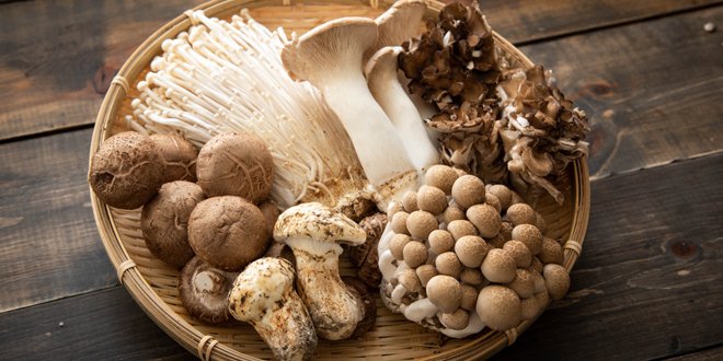 mighty mushroom