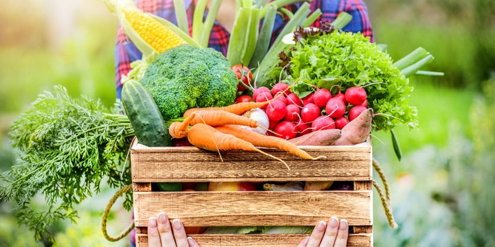 veggies prevention