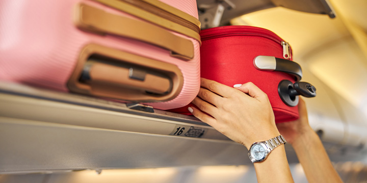 travel bag