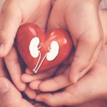 Protecting Your Heart and Kidneys with Diabetes: A Proactive Approach