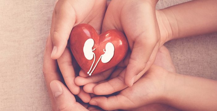 kidney and heart connection